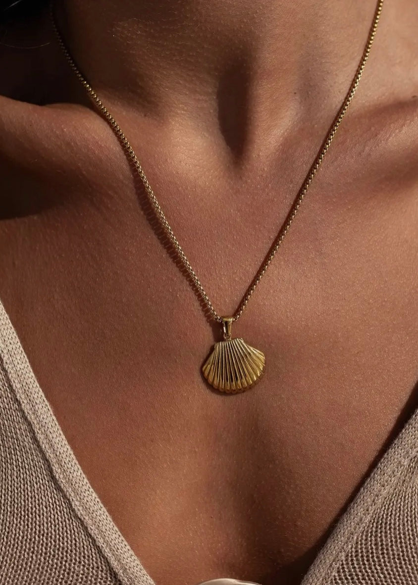 Seashell necklace - ALCO